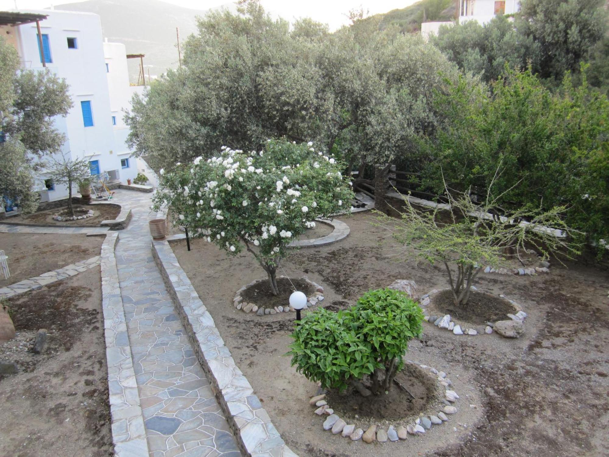 Alexandros Hotel Platis Gialos  Buitenkant foto