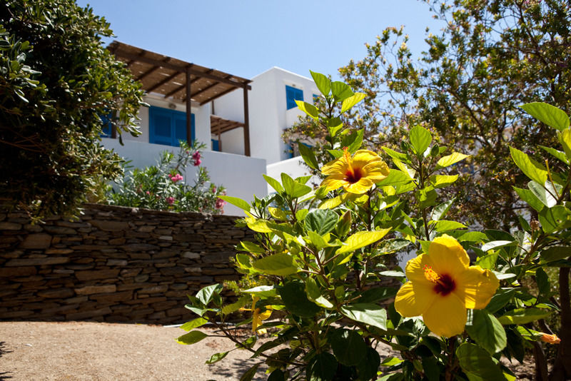 Alexandros Hotel Platis Gialos  Buitenkant foto