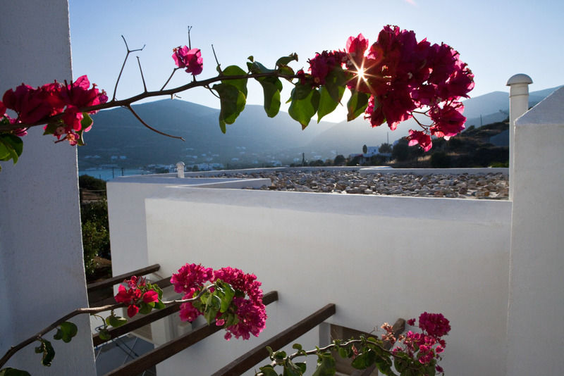 Alexandros Hotel Platis Gialos  Buitenkant foto